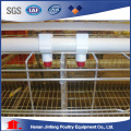 Automatic Chicken Poultry Equipment Cage System for Layer Broiler Pullet